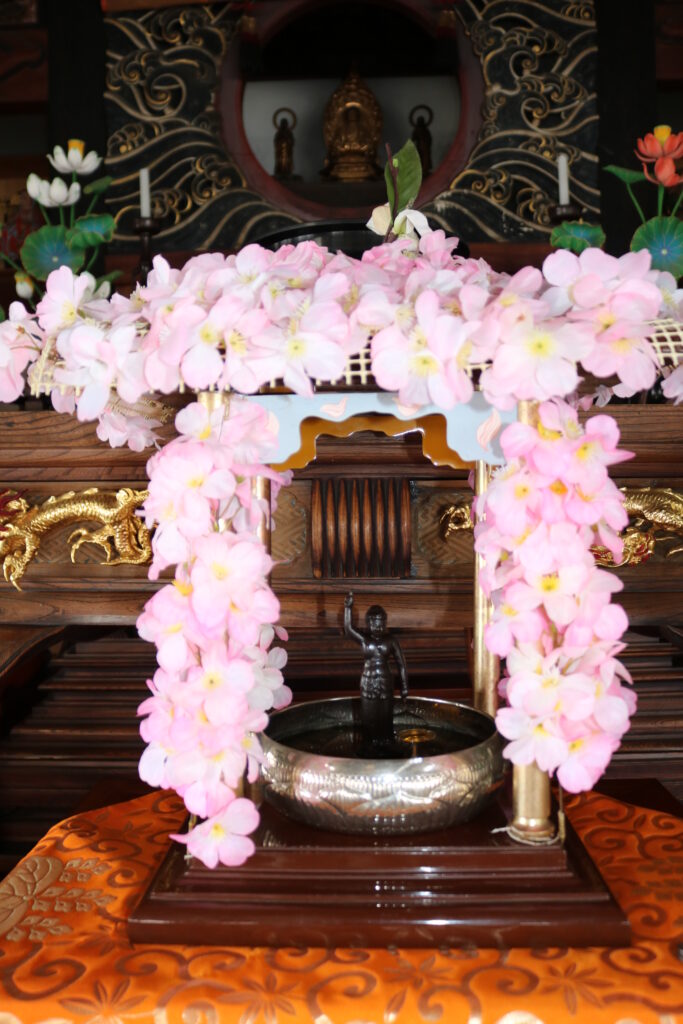 花祭り　雲林寺　長野原