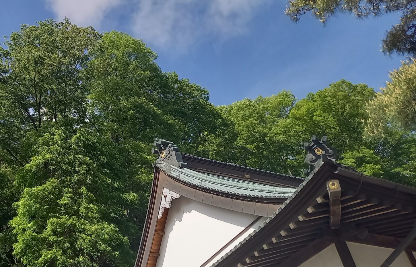 境内　深緑　雲林寺　長野原