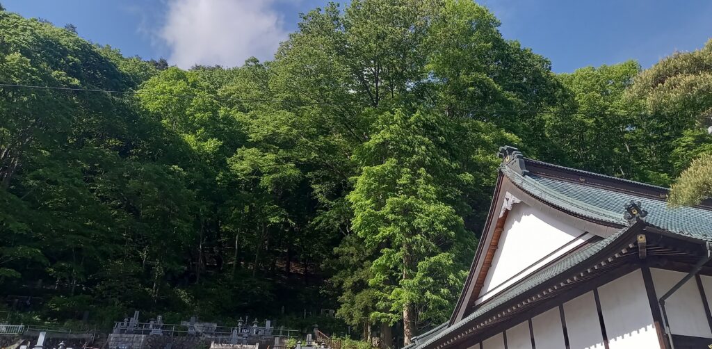 境内　深緑　雲林寺　長野原